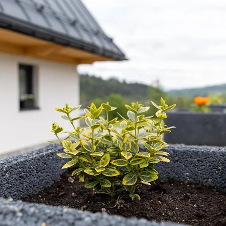 Horská chata Niebieska Turnia Poronin